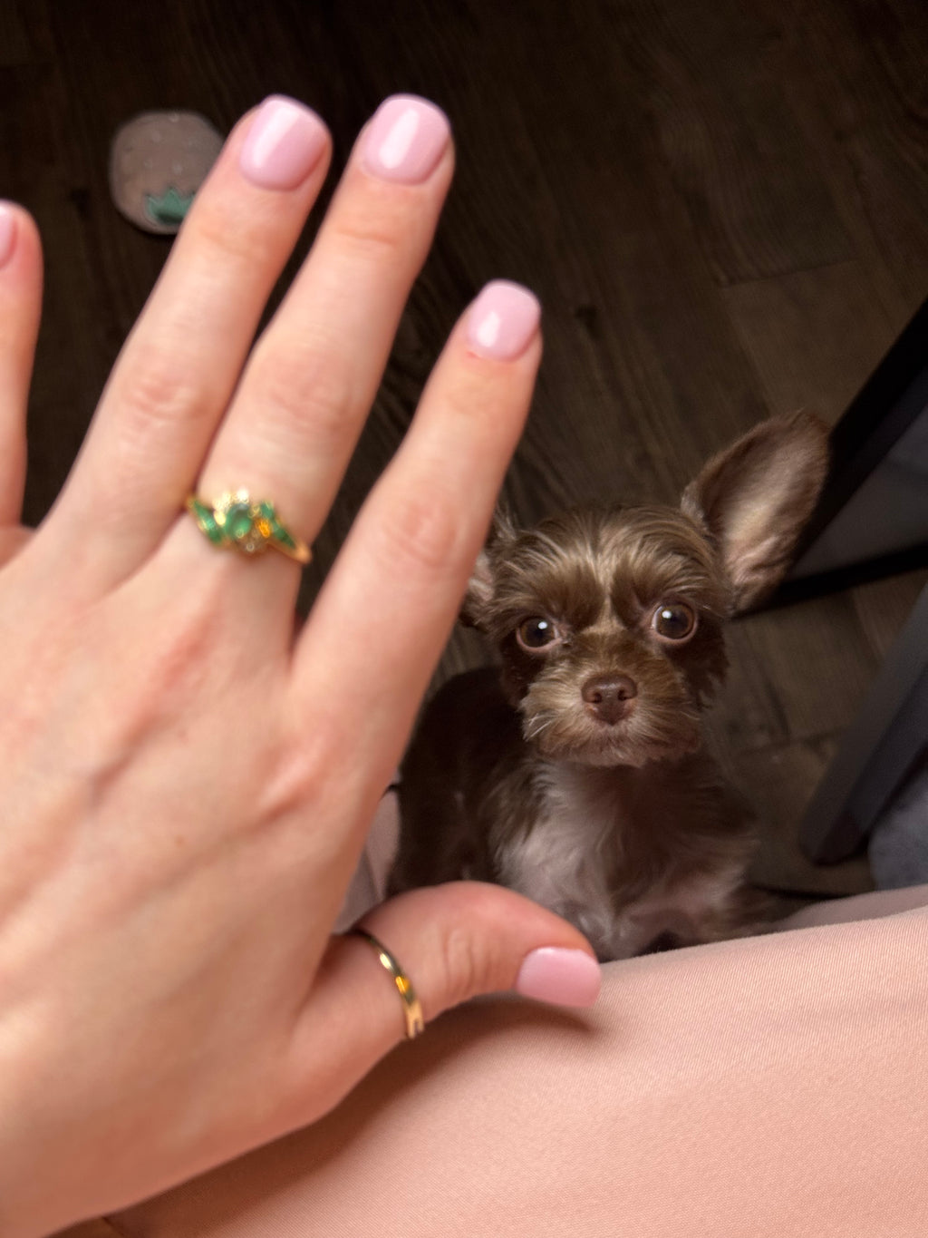 10K Gold Emerald & Diamond Ring – Size 7